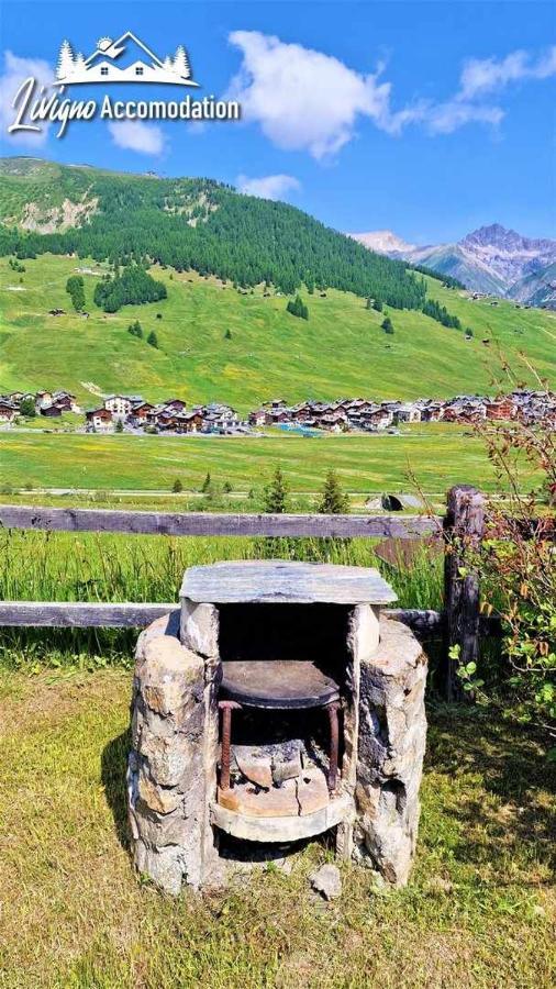 Chalet Rododendro Forest By Livigno Accomodation Luaran gambar
